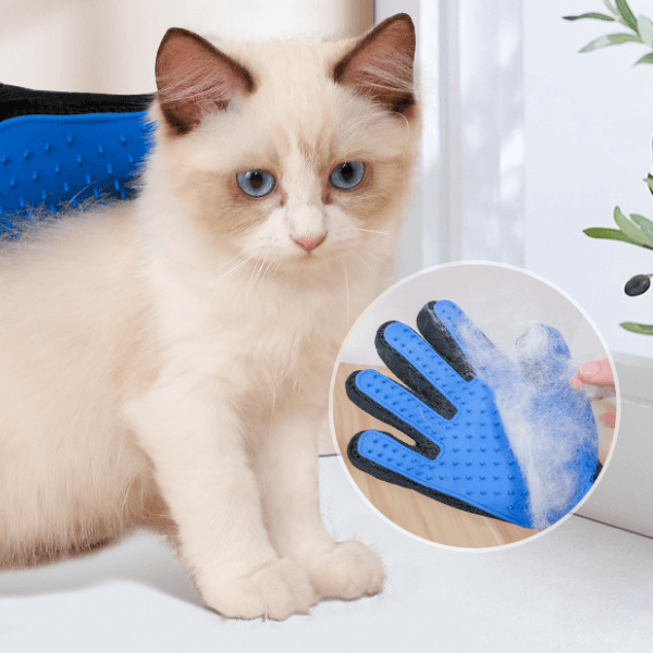 A7_W62 Rękawica dla zwierząt