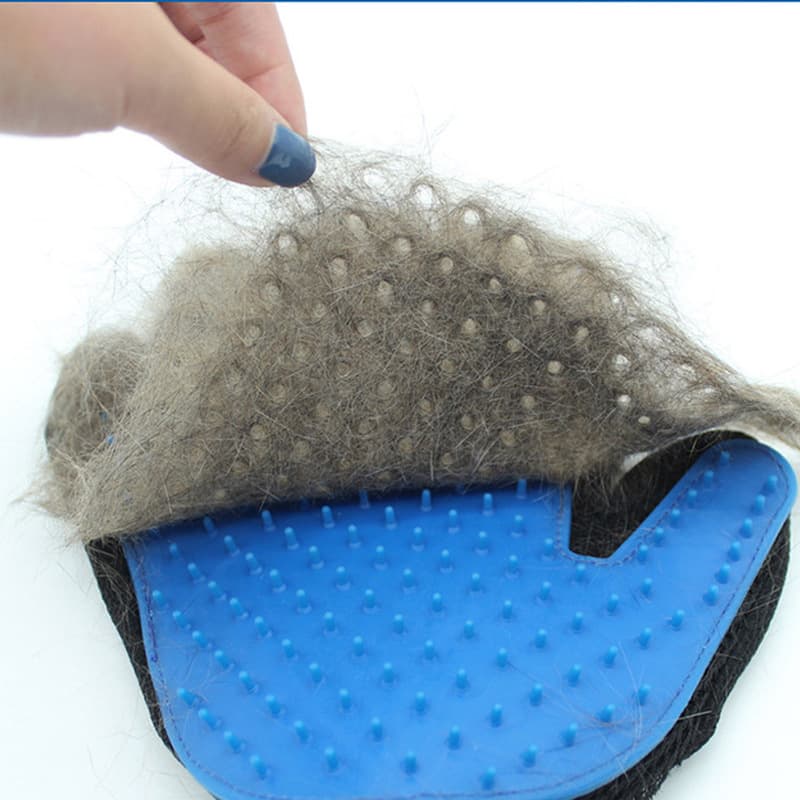 A7_W62 Rękawica dla zwierząt