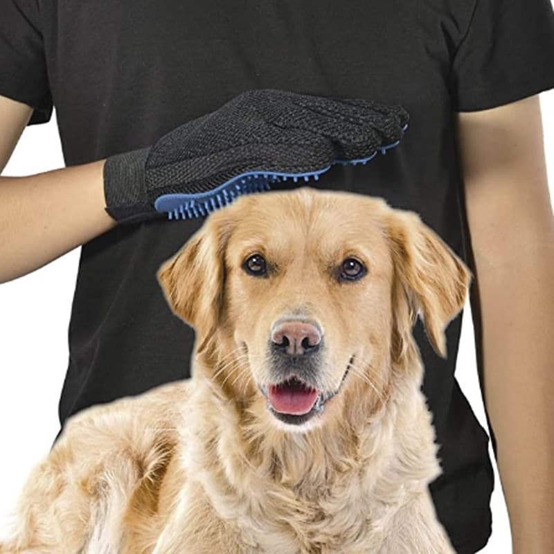 A7_W62 Rękawica dla zwierząt