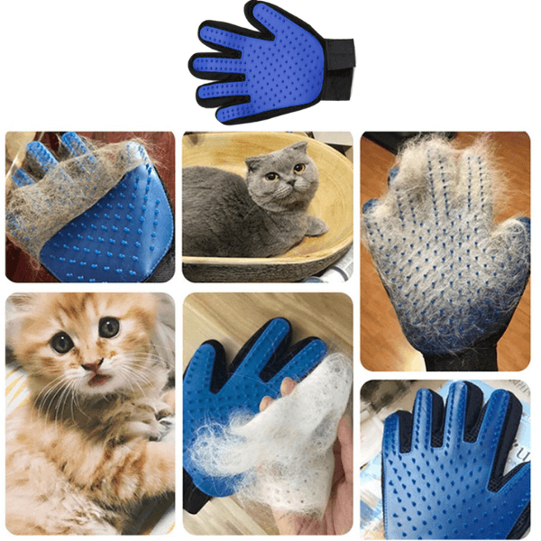 A7_W62 Rękawica dla zwierząt