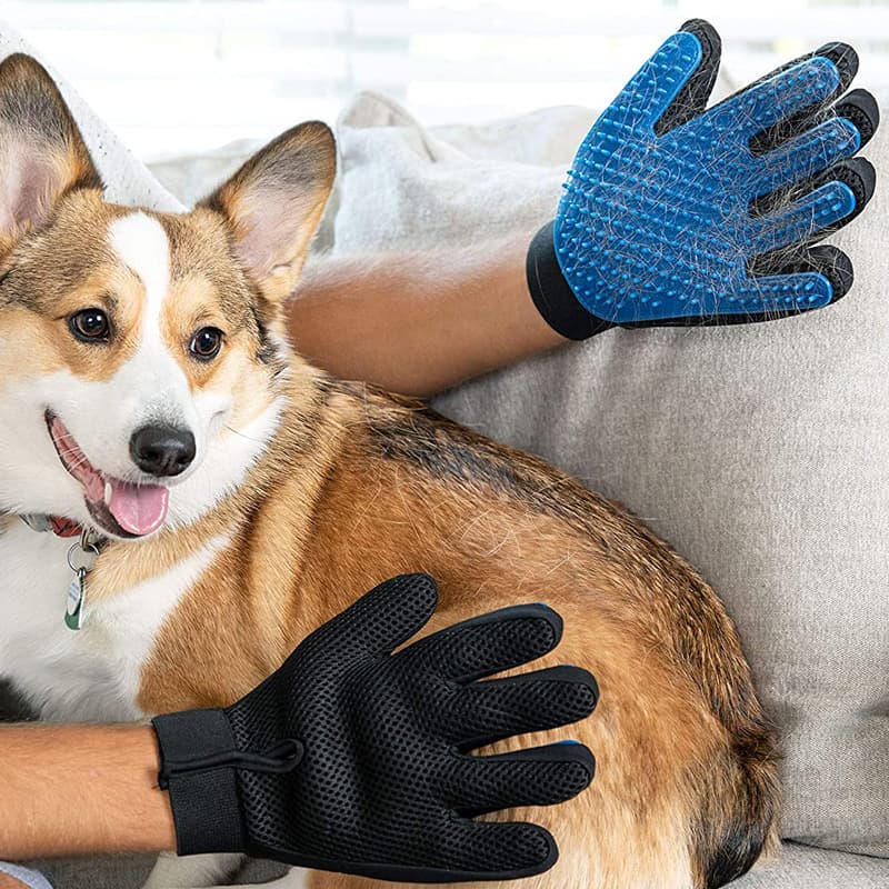 A7_W62 Rękawica dla zwierząt
